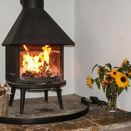 Old Orchard Cottage Haydon Ngoại thất bức ảnh